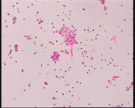 20251030561370.png 2.png