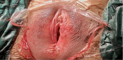 20251212105207.png 图片11.png