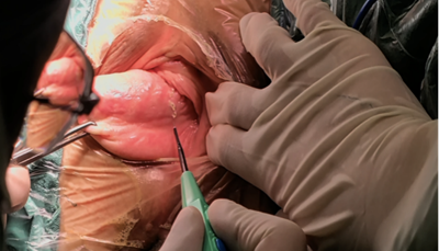 20251212219062.png 图片2.png