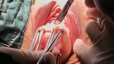 20251212759601.png 图片5.png