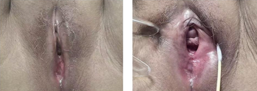 20251212956464.png 图片12.png